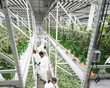 growhouse